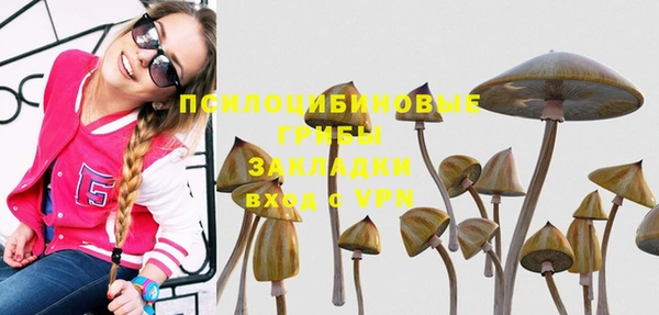 стафф Балахна